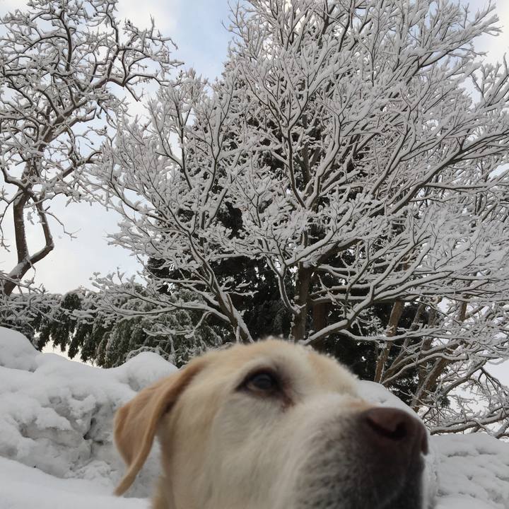 47d839b2 4642 4beb bd15 419af102d5b1 1549795670061