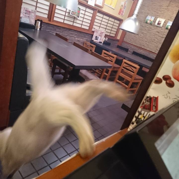 47d89eff edee 4d0c 8f4b cf181fb18bff 1542106265820