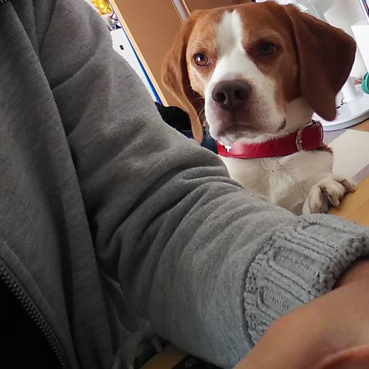 47d8e934 a639 4597 bc00 bdce2213d1d0 1604112202955