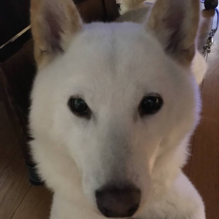 47d8fb30 4476 4c04 afaa 356978226fcc 1537607183837