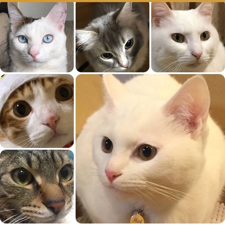 47d91e40 1b71 4100 af5c ee99c232efe1 1526383548017