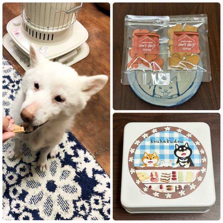 47d936d9 6407 4600 be3d c605bde4004f 1707919030773