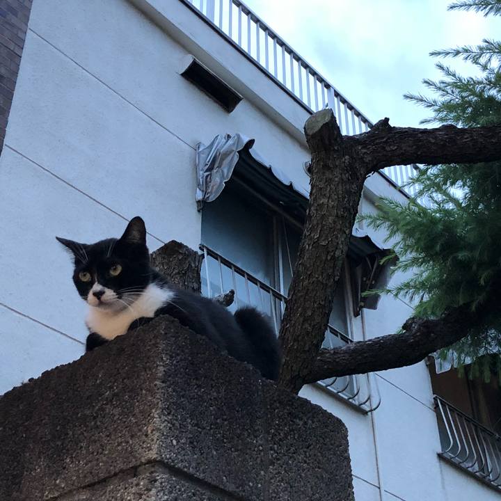 47d9819b aeff 450d a5ac 9ccddfc0e8f8 1536839047614