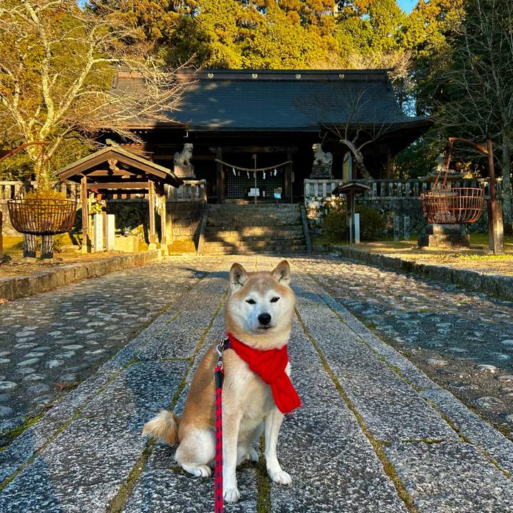 47d9abb3 1dbb 4f43 8530 0ce0c2639af7 1766397202364