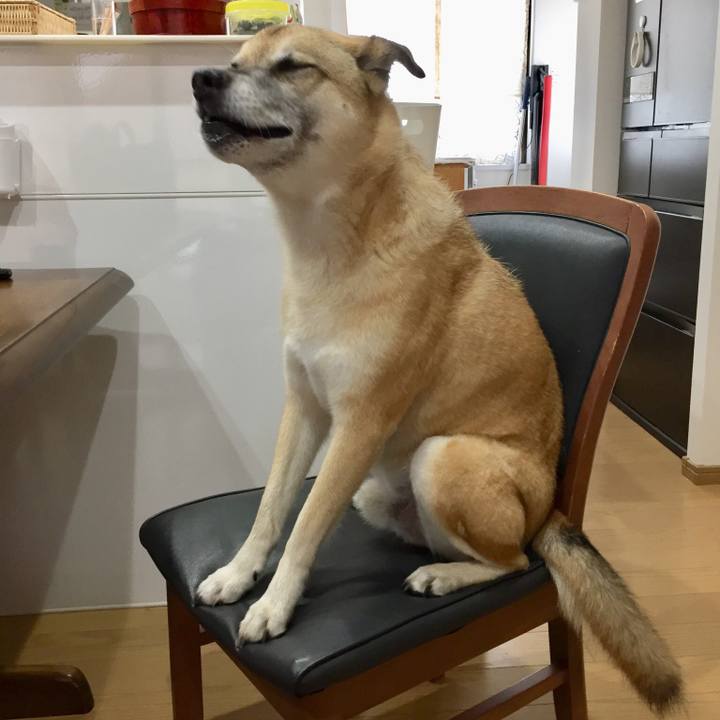 47d9dc28 b30b 4b02 bd4d 21f0c97065cc 1533251528030