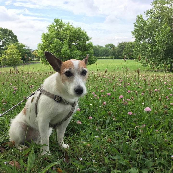 47d9fdf9 4d7c 4bd4 a4f9 01166f1a9203 1623108373600