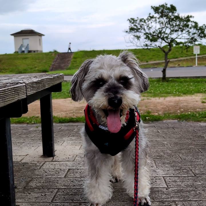 47da203e ebc2 4881 95c8 f9420cf9efd6 1749822725250