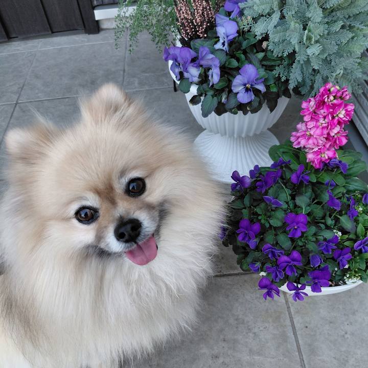 47da3ee3 536c 47a1 99b5 5437addae213 1773796618872