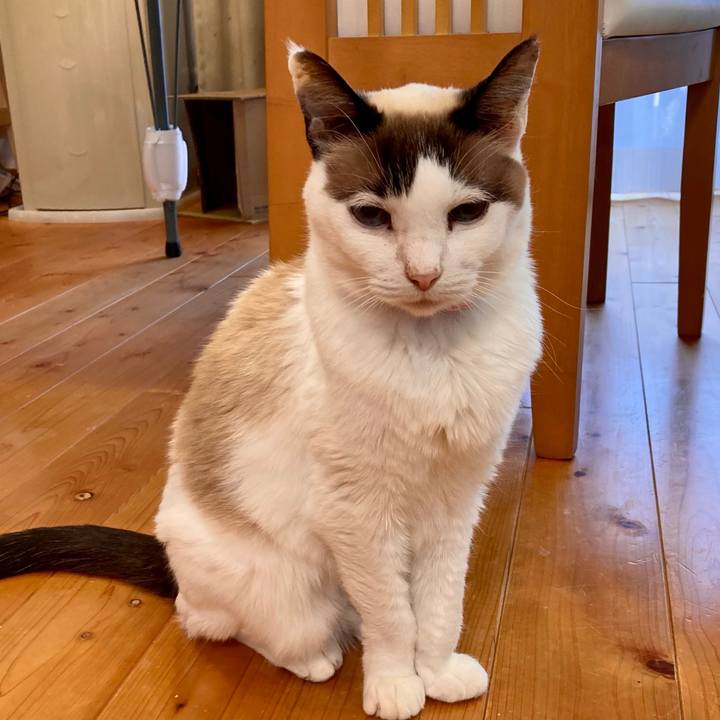 47da5776 2151 4210 b518 66c45474f2e7 1676012675715