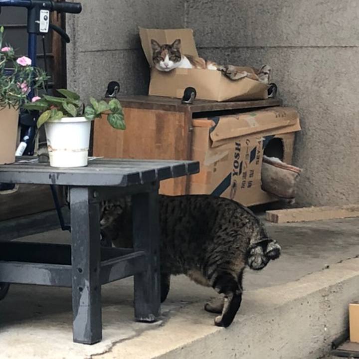 47da5f75 0b04 4b52 a437 0ac5184f152f 1558367646647