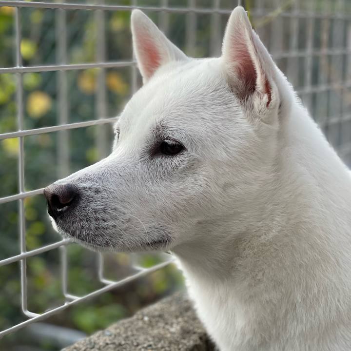 47da8f3e 882e 4fdd b75e 85a266e159f1 1666778712466