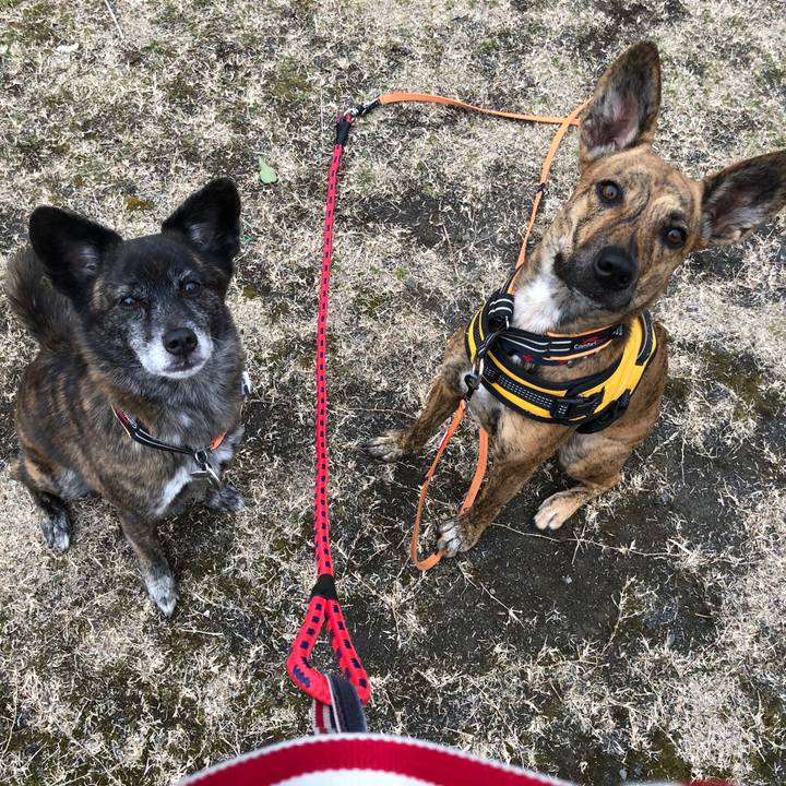 47dabab4 4a52 4e20 af4a b794514d3662 1609377692766