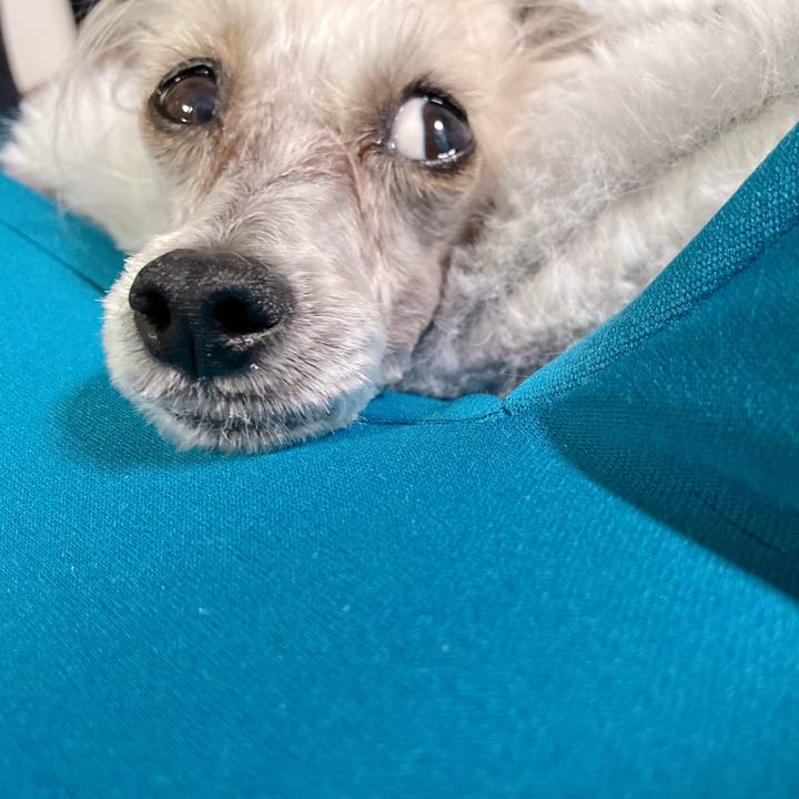 47dadfb1 b119 4a25 8d32 c768aea1e5db 1759993539408