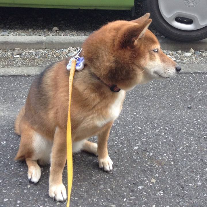 47db0764 7810 47f3 a91d 771848f0ec28 1512695812923