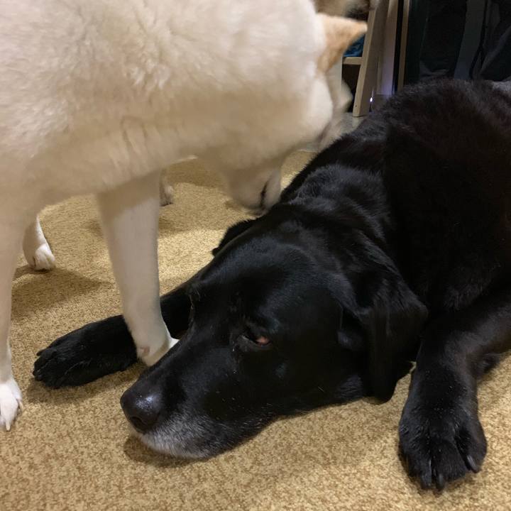 47db0a9e 3733 44e2 ada7 7bd349b3bb04 1550615330549