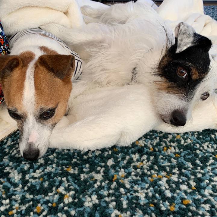 47db9ade ff47 459c 94b5 a262a833ce6f 1599199825530