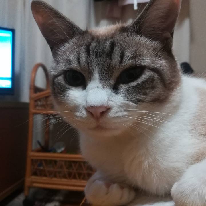 47dbe05c 0e71 49fb 9ed0 a590242a96b3 1530792077185