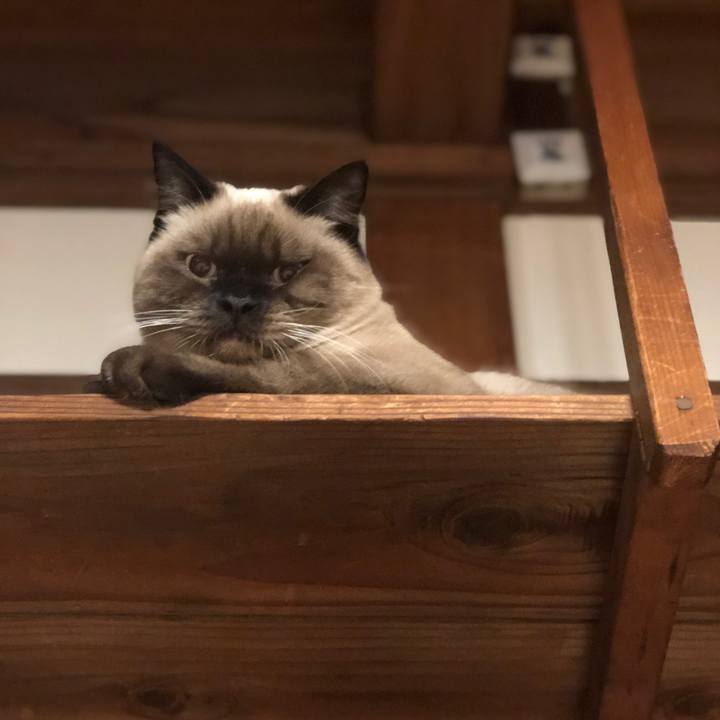 47dbe63c 7c02 4a80 a3ed 808649fa5280 1603457978270