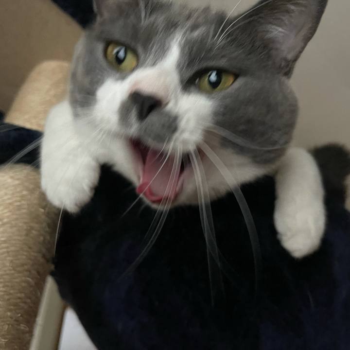 47dc0222 5d88 4e3e a915 73ba2d526d44 1631603055858