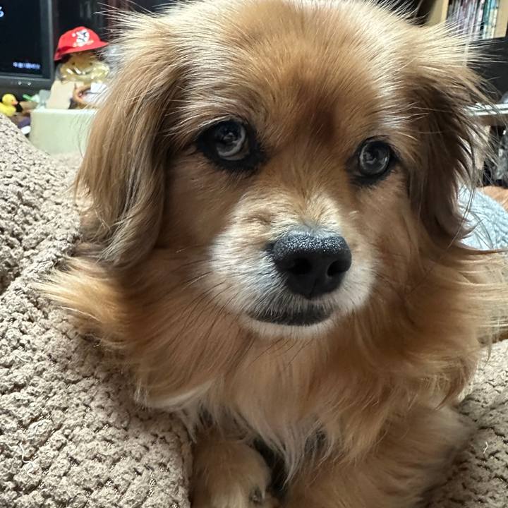 47dc2c18 5613 4c84 92db 69feea6b353b 1737424817047