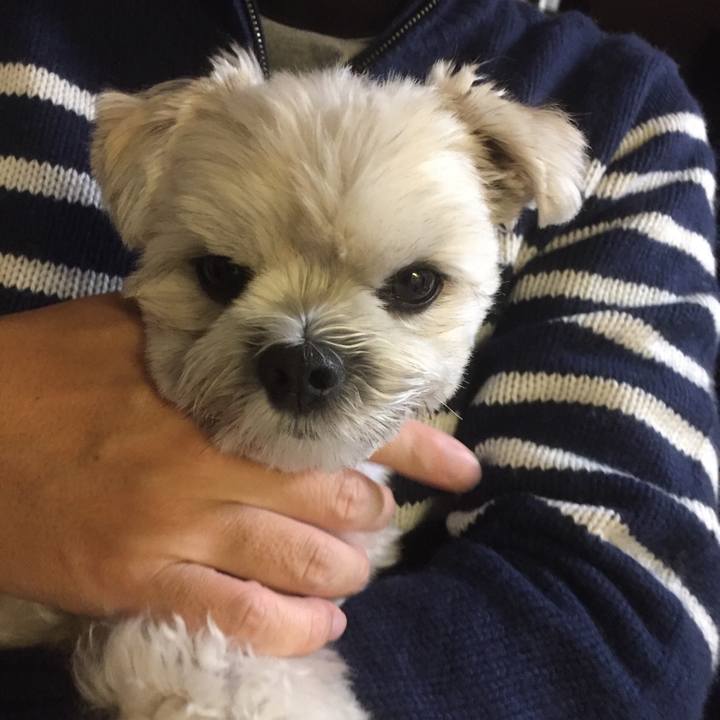 47dc3483 9314 43c2 b435 a0e1726a19d3 1509876334885