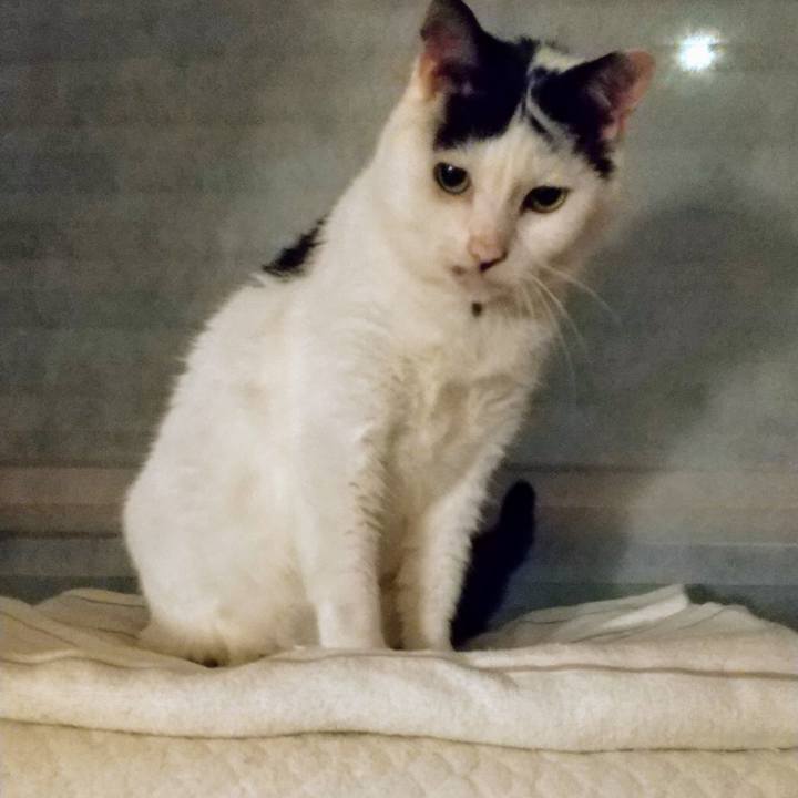 47dc4d23 d776 406f aca5 886f3d3629d8 1599831970039