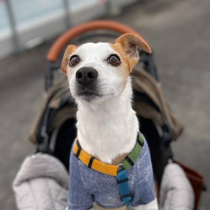 47dc59d1 bddd 40ba b10b 2cce40f759c6 1679354188368