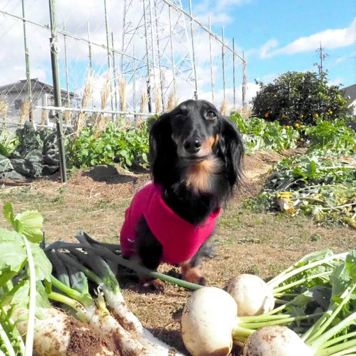 47dc5c6c 5a6e 4922 95e0 187b728185e9 1545977058687