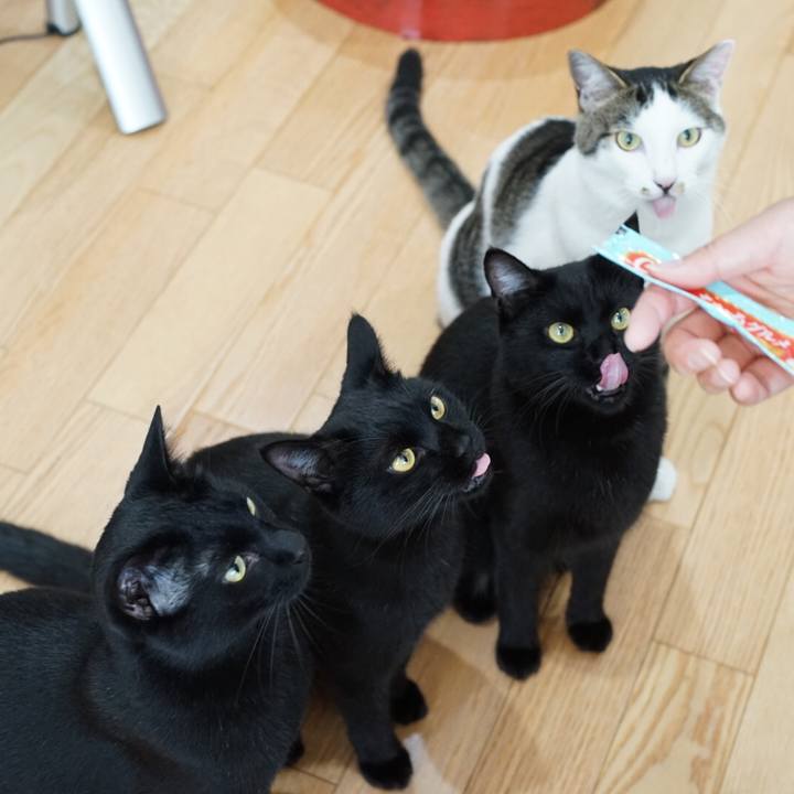 47dc5f0e 4209 41e2 bddd ac5e733093e5 1528154700154