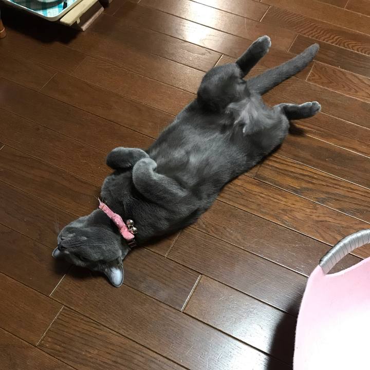 47dc8d97 dd41 4da8 b4ee a8881147e579 1561555410120