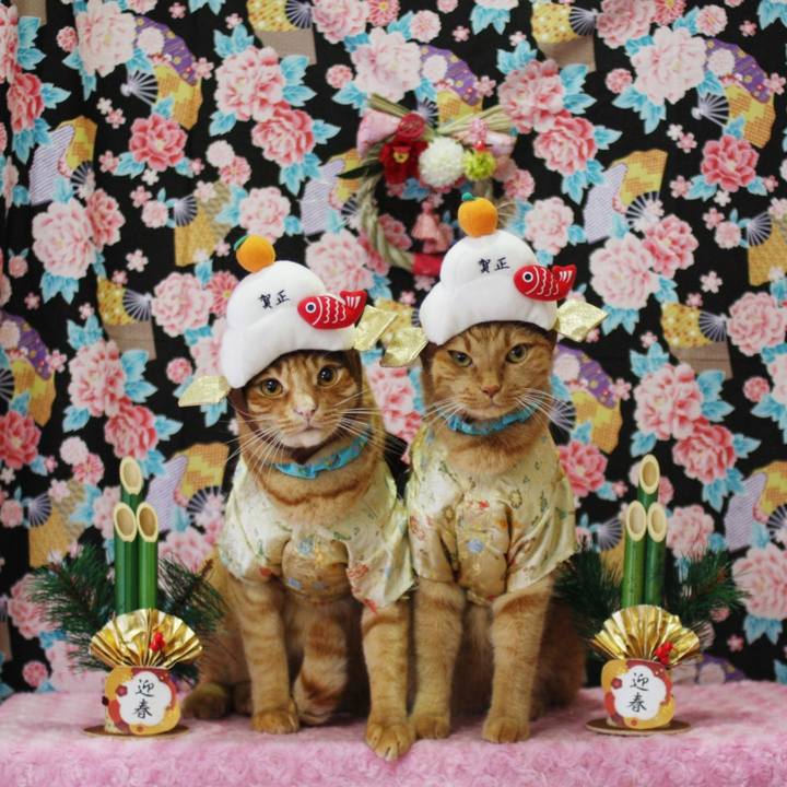 47dc90c4 4763 4617 beca 849815fd5aff 1735660618136