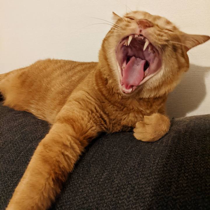 47dcafc6 cdaa 4965 9dee 6f5462eb732e 1661778478061