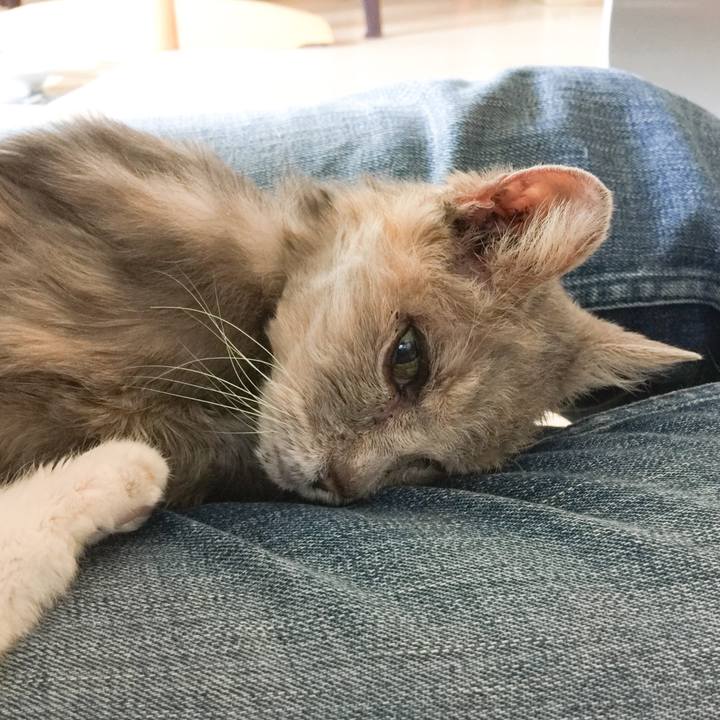 47dcc68a e473 4ad3 b49f e321c61237bb 1575172746109