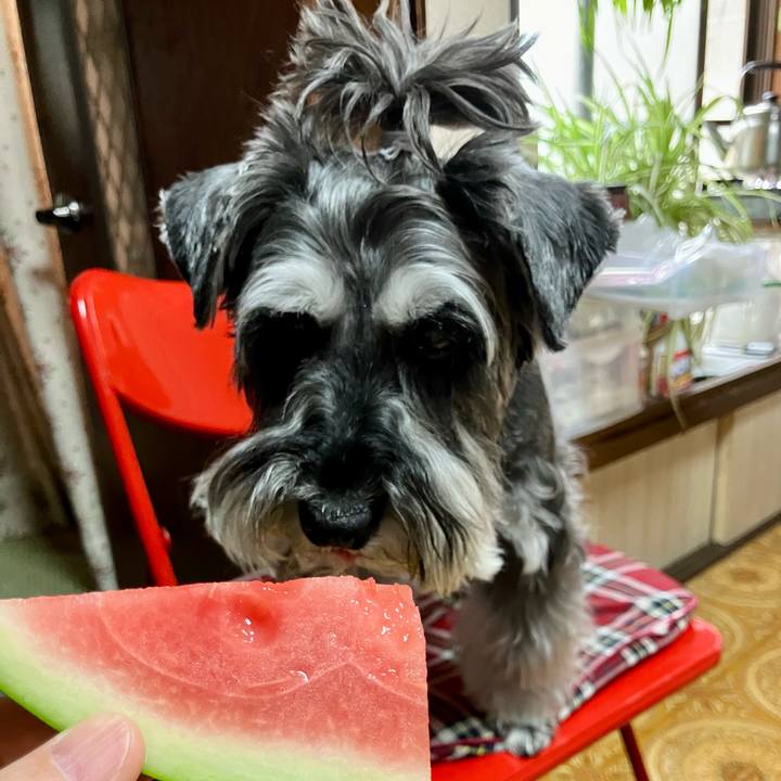 47dd14b6 3667 4047 987e ee6ea2ee020c 1718539880917