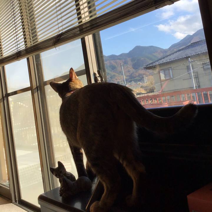 47dd2488 7ff9 464f 8c2d 8c97e46b0730 1606294858289