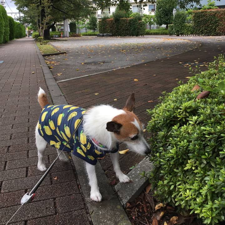 47dd36ee d75f 4903 9139 239a9cfcb7c4 1632006974461