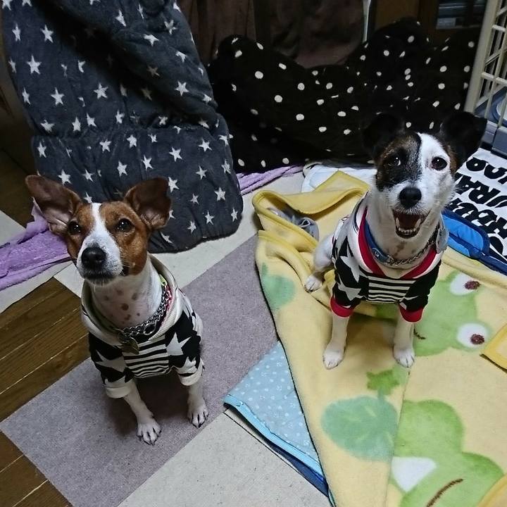 47ddcee5 1cac 43f4 bb8c ccd40565d5bf 1574465609374