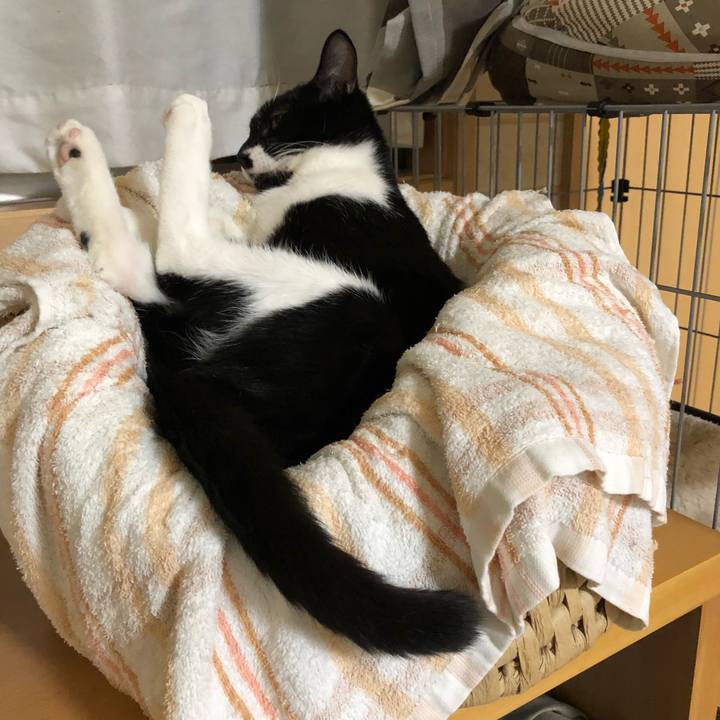 47ddda9b cb77 4520 acfd b3b441b7848d 1536986391274