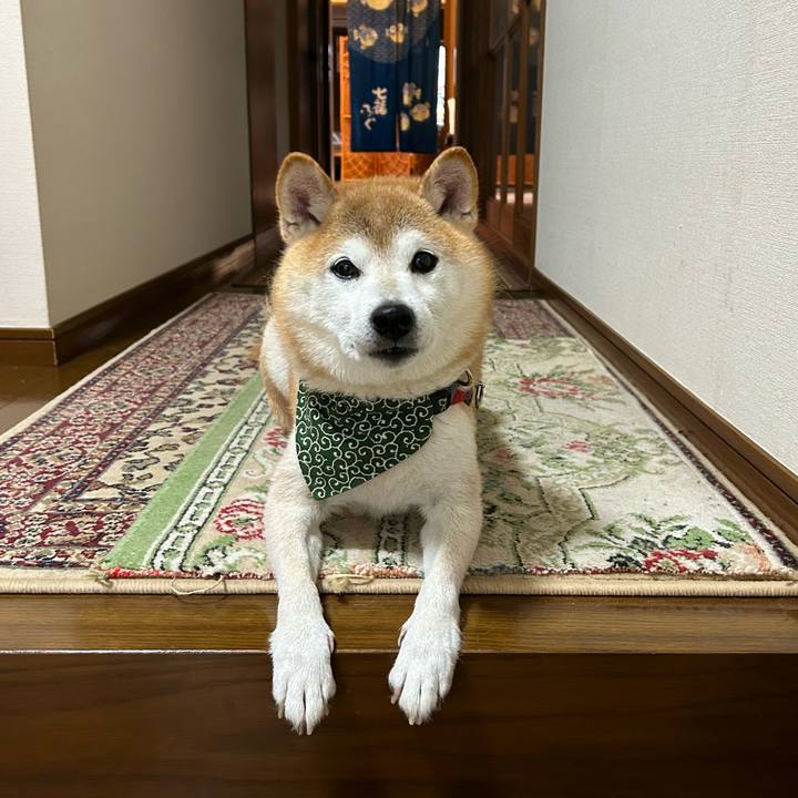 47dde429 5b7d 441e b5a5 f7a0eec0689a 1696409941147