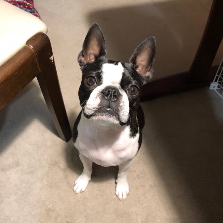 47de4328 c3ed 4a0f a2a2 6ad5ce5c9452 1578139668894