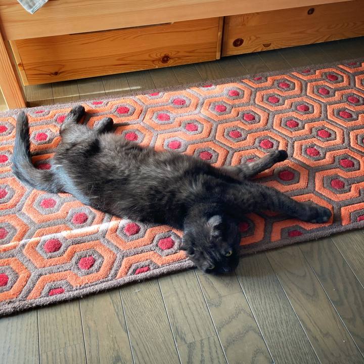 47de6924 fa12 4608 8b36 cd8c8b155b58 1597131814852