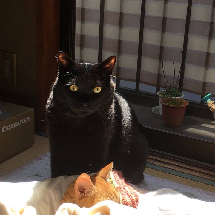 47de6b3f 52b7 44cc 8463 bdaa9699bbfd 1583980955284