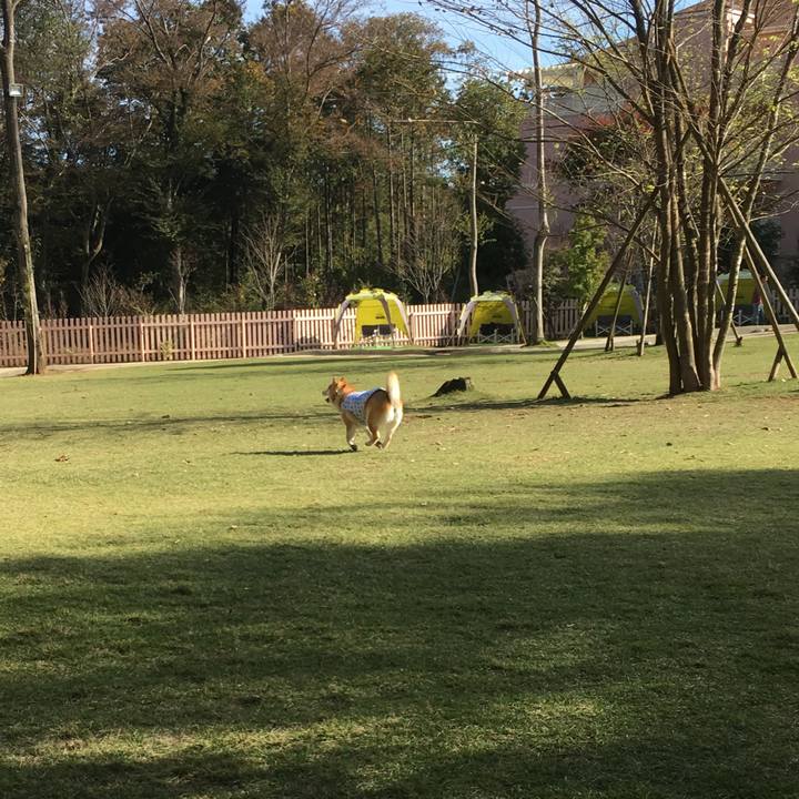 47dea05f 6a90 4337 9d8e 3e0340f97df9 1542341011640