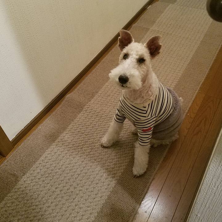 47deada1 2890 425d b512 687acaf4175b 1576069839114