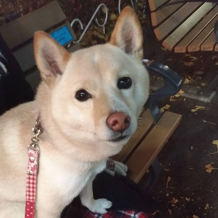 47ded777 7a46 4596 bf5b 3d42feadf19c 1576320291210