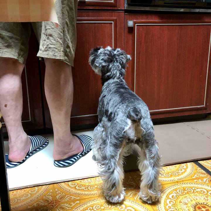 47dedbd9 5cf9 4a1f 9d3a 9c358493c881 1663158645502