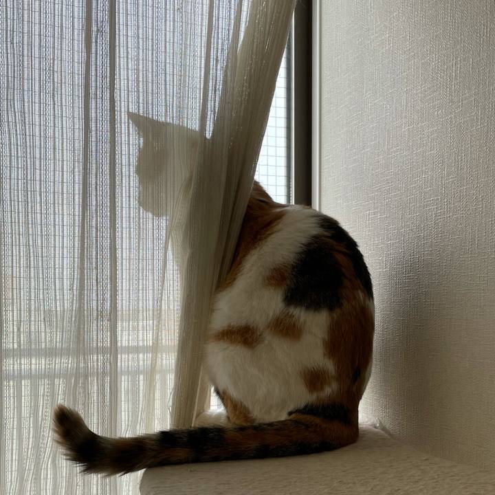 47deeb8d a6bb 4e3f 90d9 f900bf20476b 1606362109015