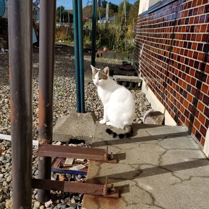 47df0de1 5a61 4b5f b1de fc9c66ffe259 1634876024291