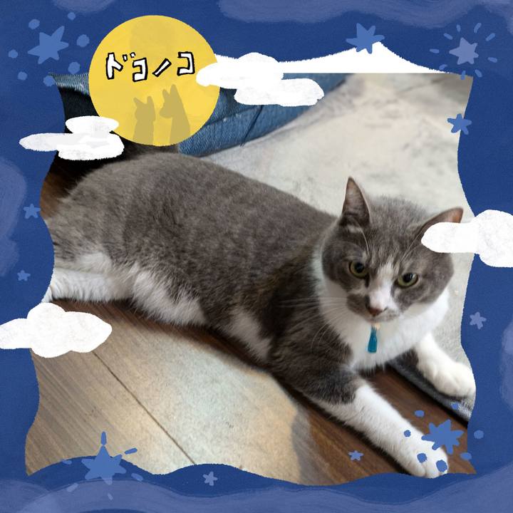 47df31c4 8dae 48f3 ab4e 2f8e8b74185a 1726807183545