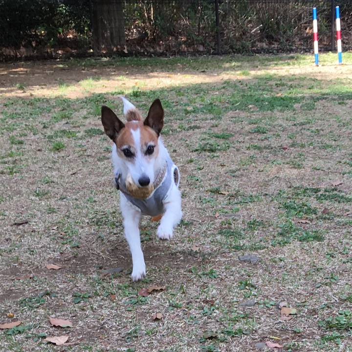 47dfb04d 5447 4927 be87 10540f921b33 1555903922735